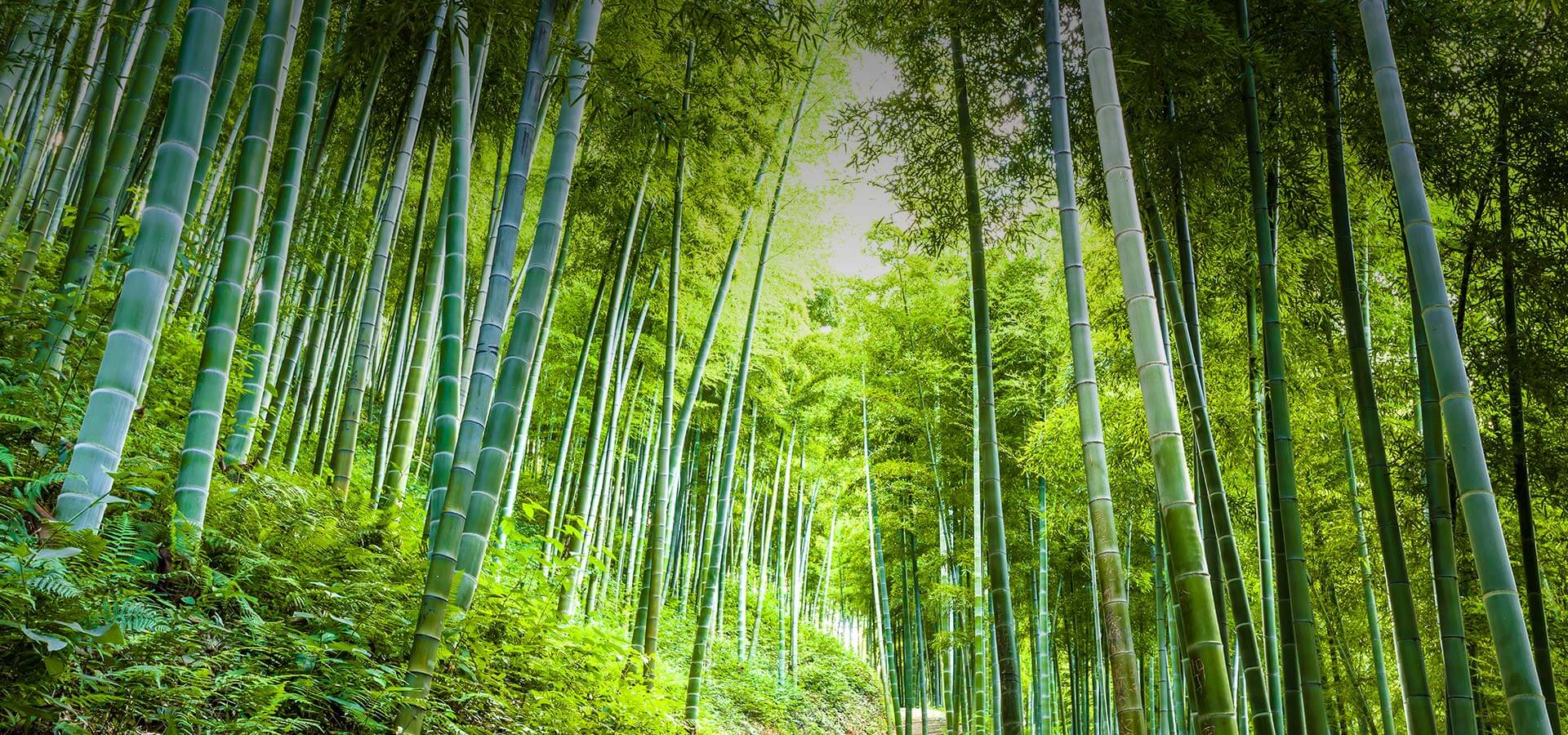 點(diǎn)擊查看詳細(xì)信息<br>標(biāo)題：農(nóng)村石牌樓圖片